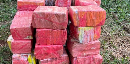 PF e Polícia Civil apreendem mais de 600kg de maconha em Santa Helena