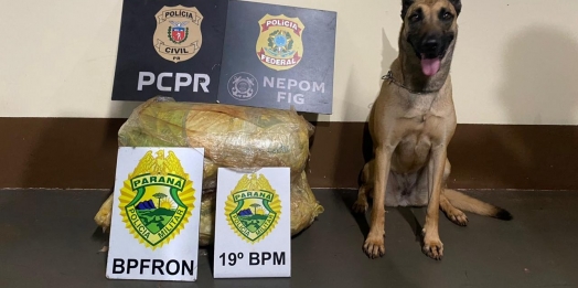 PF e Polícias Civil e Militar apreendem fardos de skank em Santa Helena