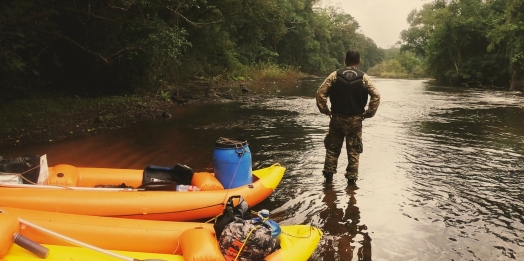 PF intensifica fiscalização ambiental no parque nacional do Iguaçu