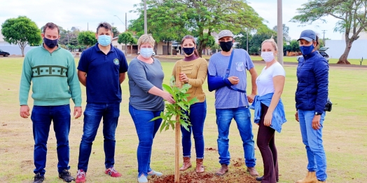 Plantio de árvores na Praça Edi Berghahn em Itaipulândia deixa legado de sustentabilidade e cidadania