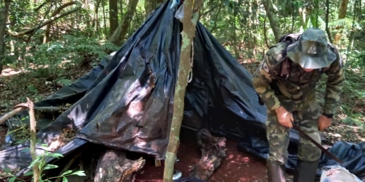 Polícia Ambiental destrói acampamentos dentro do Parque Nacional do Iguaçu em Serranópolis