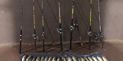 Polícia Ambiental prende homens por pesca durante a piracema no Rio Paraná