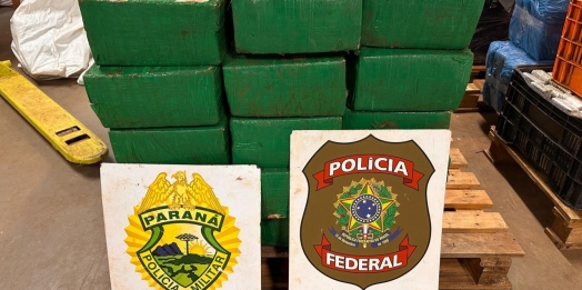 Polícia apreende mais de 500 quilos de drogas em distrito de Santa Helena