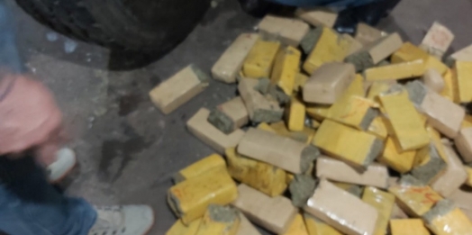 Polícia Civil apreende meia tonelada de maconha em residência de Foz do Iguaçu