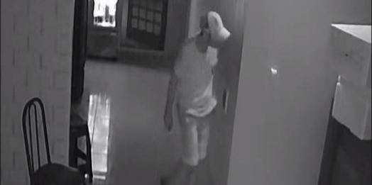 Polícia Civil prende suspeito de cometer diversos furtos em Santa Helena nos últimos dias