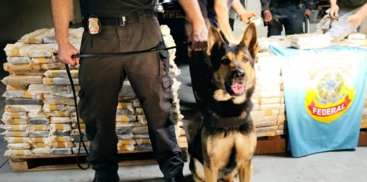 Polícia Federal deflagra operação em SC após apreensão de uma tonelada de cocaína em Guaíra