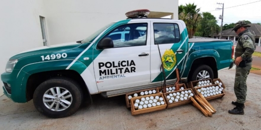 Polícia Militar Ambiental encontra fábrica de palmito clandestina próximo ao Parque Nacional do Iguaçu