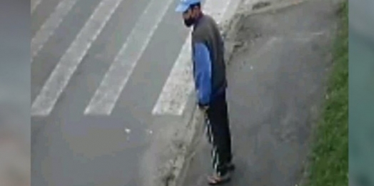 Polícia procura homem que abusou de cachorro de rua no Paraná