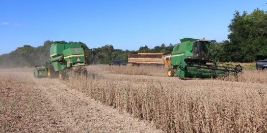 Prazo para solicitações do Viabiliza Agro termina 30 de setembro em Santa Helena