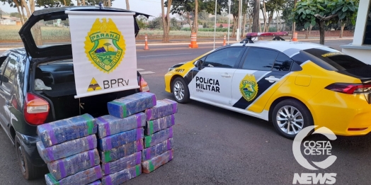 PRE apreende mais de 200 kg de maconha na PR 488, em Diamante do Oeste
