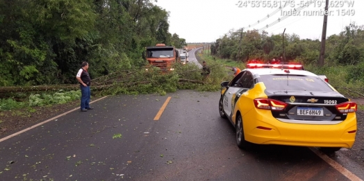 PRE de Santa Helena auxilia em desobstrução da PR 488 após queda de árvore