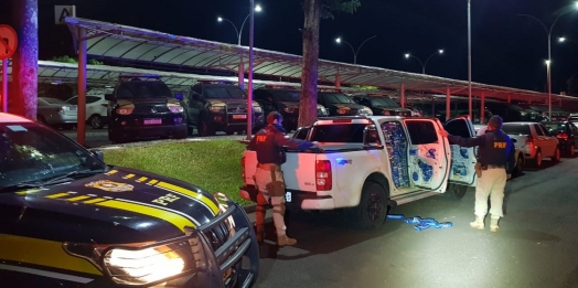 PRF apreende 26 mil maços de cigarro e recupera veículo em propriedade rural que era usada como depósito em Matelândia