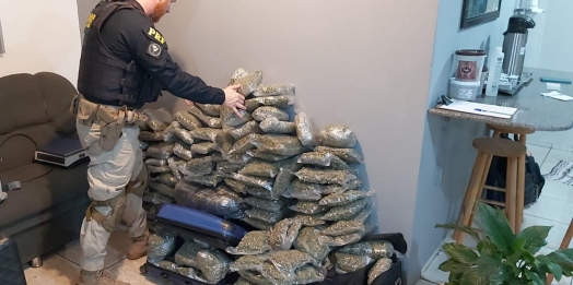 PRF apreende 94 quilos maconha não prensada em São Miguel do Iguaçu (PR)