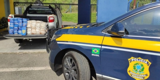 PRF apreende carga de cocaína com a ajuda de cães farejadores