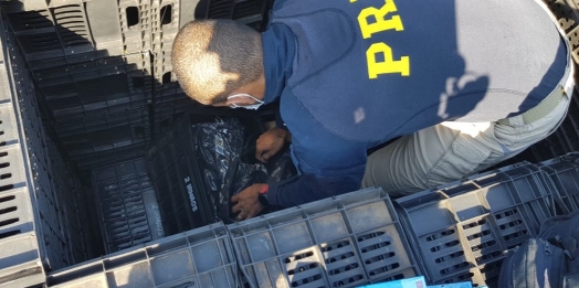 PRF apreende eletrônicos ocultos em caminhão de tomates em Céu Azul