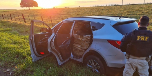 PRF apreende mais de 1,3 tonelada de maconha no Paraná