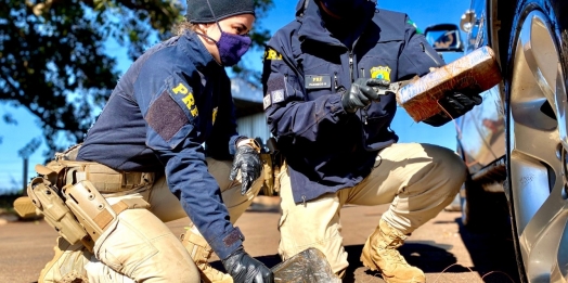 PRF e PCPR apreendem drogas e dão prejuízo de R$ 16 milhões ao crime organizado em Santa Terezinha de Itaipu
