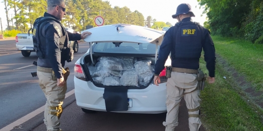 PRF prende jovem transportando skunk em São Miguel do Iguaçu