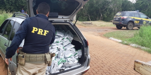 PRF realiza apreensão de meia tonelada de agrotóxicos em Guaíra