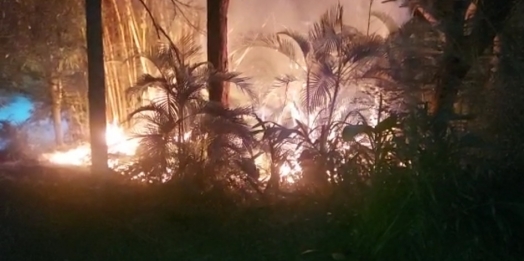 Princípio de incêndio é registrado no Balneário de Santa Helena (vídeo)