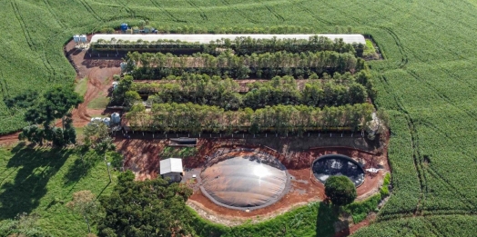 Produção de biogás a partir da suinocultura gera renda extra para produtores do Paraná