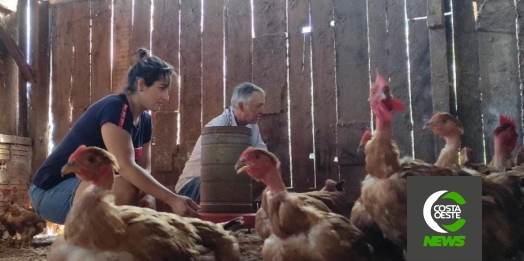 Produção de frango caipira mantém família no campo