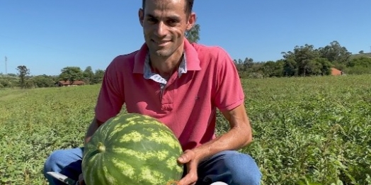 Produção de melancia complementa renda de pequeno agricultor