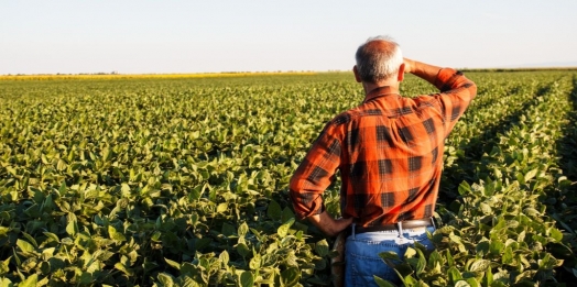 Produtor rural poderá regularizar cadastro ambiental pela internet