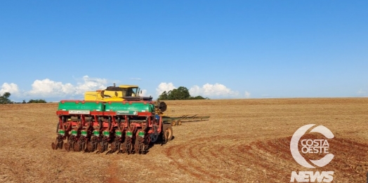 Produtores se dividem entre iniciar o plantio e esperar a chuva na microrregião oeste