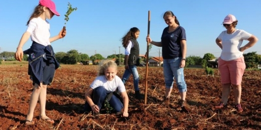 Professor relata importância educativa do plantio de árvores em Santa Helena