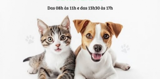 Programa CASTRAPET disponibiliza 104 vagas gratuitas em Itaipulândia