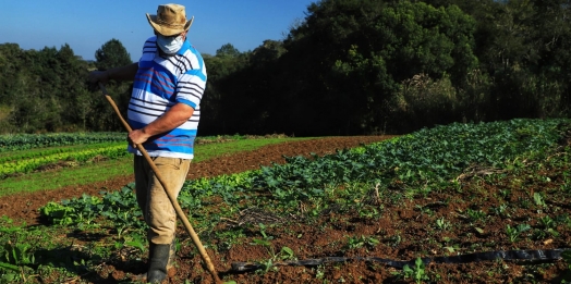 Programas garantem produção, qualidade dos alimentos e melhorias no transporte