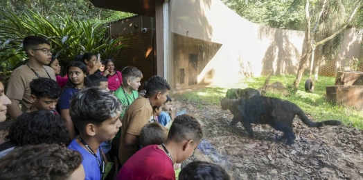 Projeto "Amigos do Eco e do Refúgio em Ação" promove educação ambiental e sustentabilidade em Foz do Iguaçu