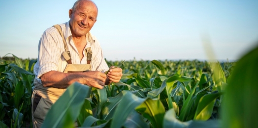 Projeto muda regra para incluir produtor rural como segurado especial da Previdência