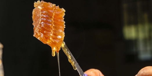 Paraná alcança a liderança na produção de mel