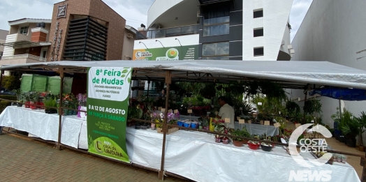 Feira de mudas e árvores frutíferas da Casa da Lavoura atrai clientes em São Miguel do Iguaçu