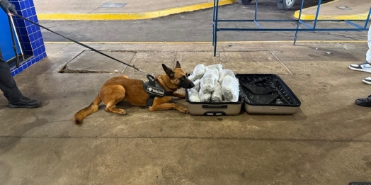 Receita Federal apreende aproximadamente 10 kg de substância análoga ao capulho