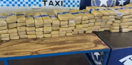 Receita Federal apreende mais de 289 kg de substância análoga à maconha em veículos com placas paraguaias