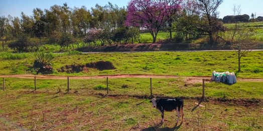 Regularização fundiária alcança mais de 1,2 mil pequenos produtores