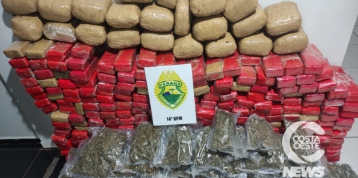 ROTAM apreende grande quantidade de maconha e prejuízo ao crime é de R$ 80 mil