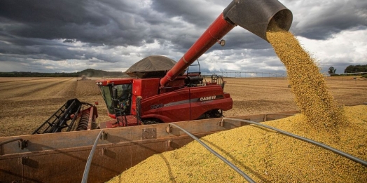 SAFRA 2022/2023: Mercado de grãos demonstra cenário de positividade