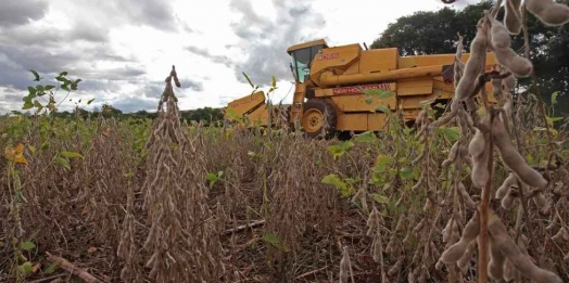 Safra de soja aumenta demanda por trabalhadores temporários no Paraná