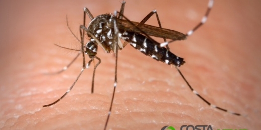 Santa Helena tem cinco casos de dengue e cuidados devem ser redobrados em período de chuva