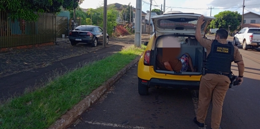 São Miguel do Iguaçu: Polícia prende criminoso após assalto em loja de conveniência