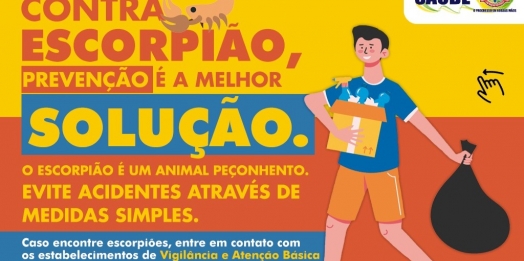 Saúde de São Miguel do Iguaçu alerta para cuidados com o escorpião amarelo em agosto e setembro, meses de sua reprodução