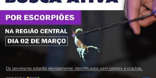 Saúde de São Miguel vai realizar busca ativa por escorpiões no dia 02 de março