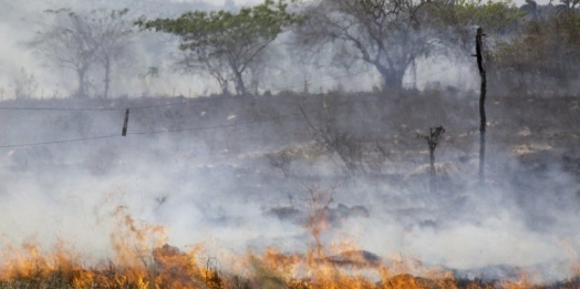 Seca impacta além do abastecimento de água: prejudica agricultura, saúde e agrava riscos de incêndios