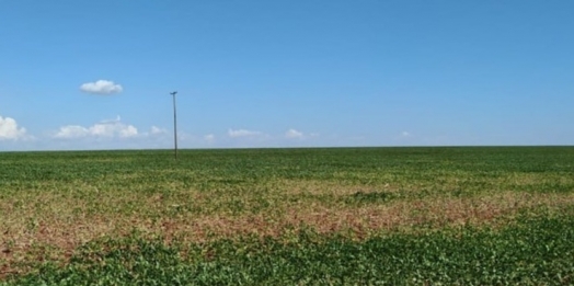 Seca promete afetar 100% da safra agrícola em Guaíra