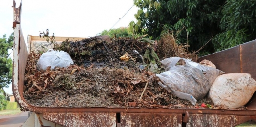 Secretaria de Agricultura de Medianeira divulga cronograma de recolha de galhos