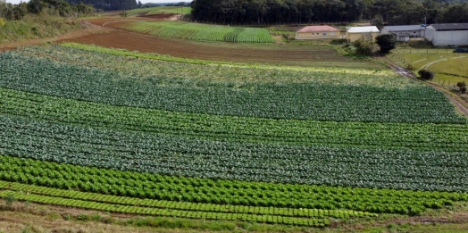 Seguro Rural: Benefício pode ganhar reforço de saldos remanescentes do PIS/Pasep